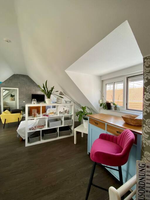 Light Flow Stylish Attic House. M. Balcony Rastatt Extérieur photo